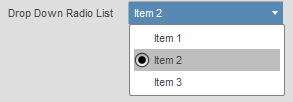 Radio Buttons Drop-Down